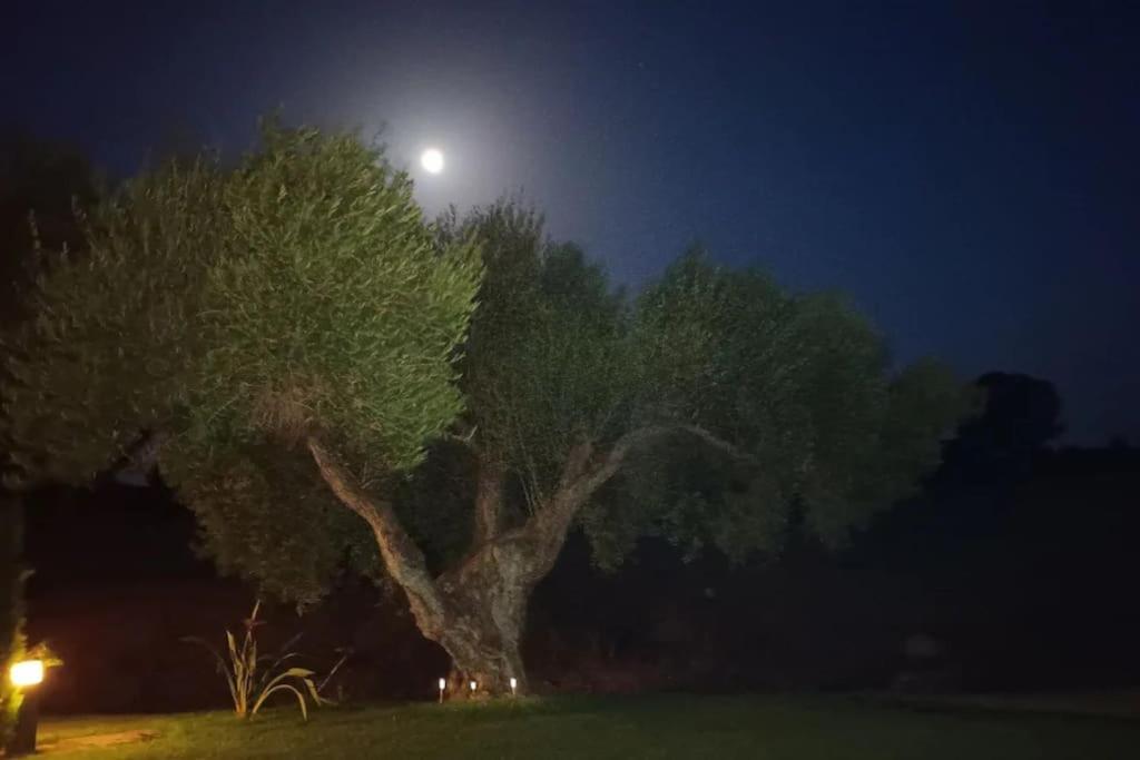 Casa Los Olivos Arcos de la Frontera Buitenkant foto