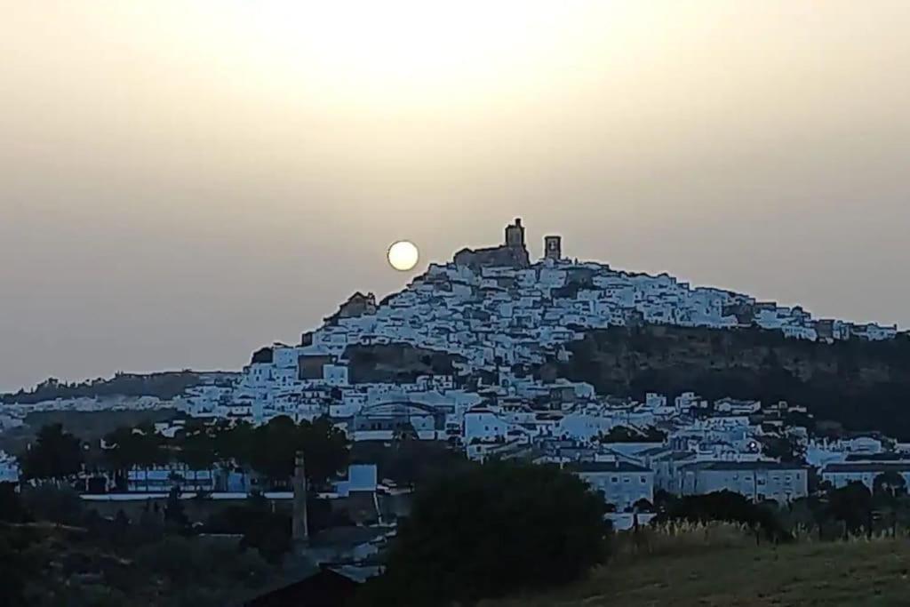 Casa Los Olivos Villa Arcos de la Frontera Buitenkant foto